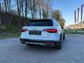 Audi A4 allroad A4 Allroad quattro 40 TDI quattro S-tronic Weiß - thumbnail 4