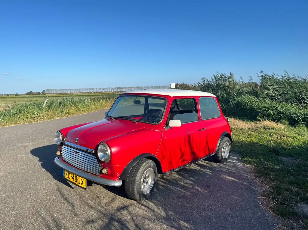 Mini 1000 1983 из Европы — купить под ключ