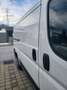Peugeot Boxer Boxer Luxusbus 3300 L2H1 2,2 HDi Weiß - thumbnail 8