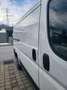 Peugeot Boxer Boxer Luxusbus 3300 L2H1 2,2 HDi Weiß - thumbnail 3