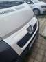 Peugeot Boxer Boxer Luxusbus 3300 L2H1 2,2 HDi Weiß - thumbnail 10
