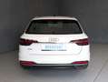 Audi A4 STATION WAGON 30 TDI MHEV 136cv S-tronic Business Advanced Bianco - thumbnail 14