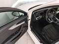 Audi A4 STATION WAGON 30 TDI MHEV 136cv S-tronic Business Advanced Bianco - thumbnail 17