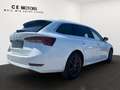 Skoda Octavia 2,0 TDI Premium | AHK |MEMORY | MATRIX Weiß - thumbnail 9