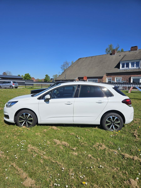 Citroen C4 Lim. Selection — photo 5