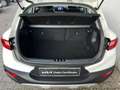 Kia Stonic 1.0 T-GDi 100 CV MHEV iMT Style (Mild Hybrid) Blanco - thumbnail 6