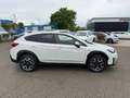 Subaru XV 2.0ie Mild-Hybrid Kamera*Keyless*SHZ*FehrlAss Weiß - thumbnail 5