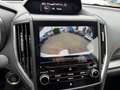 Subaru XV 2.0ie Mild-Hybrid Kamera*Keyless*SHZ*FehrlAss Weiß - thumbnail 18