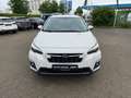 Subaru XV 2.0ie Mild-Hybrid Kamera*Keyless*SHZ*FehrlAss Weiß - thumbnail 3