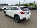 Subaru XV 2.0ie Mild-Hybrid Kamera*Keyless*SHZ*FehrlAss Weiß - thumbnail 8