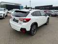 Subaru XV 2.0ie Mild-Hybrid Kamera*Keyless*SHZ*FehrlAss Weiß - thumbnail 6