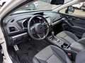 Subaru XV 2.0ie Mild-Hybrid Kamera*Keyless*SHZ*FehrlAss Weiß - thumbnail 16