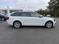 Skoda Octavia Octavia SW 1.0 TSI Ambition (EU6.2) Blanc - thumbnail 4