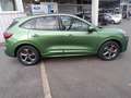 Ford Kuga ST Line X FHEV Winterpaket - FGS 5 Jahre Verde - thumbnail 10
