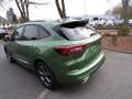Ford Kuga ST Line X FHEV Winterpaket - FGS 5 Jahre Verde - thumbnail 5