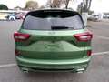 Ford Kuga ST Line X FHEV Winterpaket - FGS 5 Jahre Verde - thumbnail 6