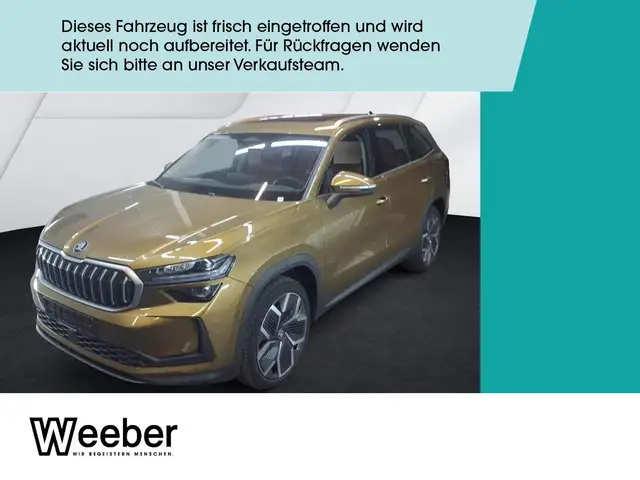 Skoda Kodiaq 4x4 Selection *OPTIKPAKET*PANO*BRANDED*LEDER*MATRI