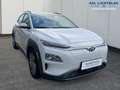 Hyundai KONA TREND Elektro 150kW Klimaaut. EPH Rückfahrkamer... Weiß - thumbnail 4