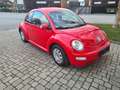 Volkswagen Beetle 1,6 Rot - thumbnail 2