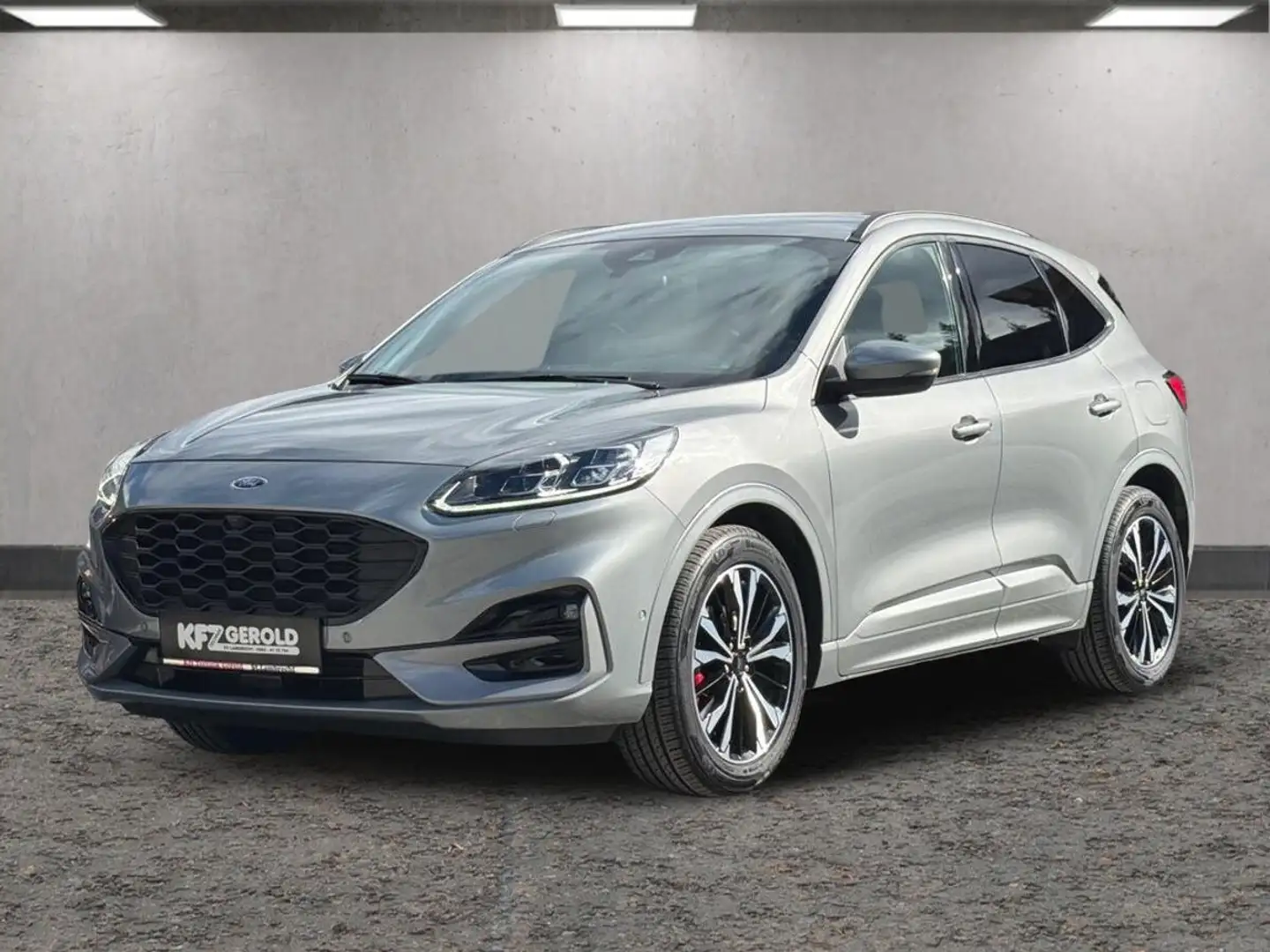 Ford Kuga 2.0 EcoBlue Hybrid Grau - 1