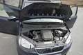 Skoda Citigo Citigo 1.0 MPI Green tec Ambition Blau - thumbnail 15