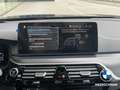 BMW 530 Pano dak-M Pack-M zetels Bleu - thumbnail 9