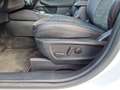 Ford Kuga ST-Line X 2.5-PHEV*P-Dach*ACC*W-Pak*K-Free Weiß - thumbnail 13