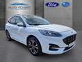 Ford Kuga ST-Line X 2.5-PHEV*P-Dach*ACC*W-Pak*K-Free Weiß - thumbnail 4