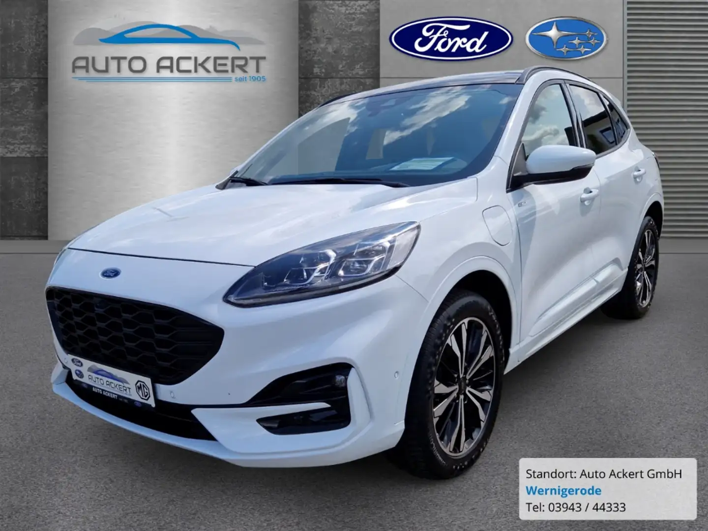 Ford Kuga ST-Line X 2.5-PHEV*P-Dach*ACC*W-Pak*K-Free Weiß - 1