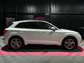 Audi Q5 Q5 2.0 TDI 150 S line Bianco - thumbnail 2