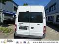 Ford Transit Kasten 1 Hand Guter Zustand FT 280 M LKW Weiß - thumbnail 9