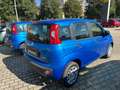 Fiat Panda PANDINA 1.0 70CV HYBRID ICON Bleu - thumbnail 3