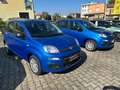 Fiat Panda PANDINA 1.0 70CV HYBRID ICON Bleu - thumbnail 2