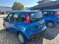 Fiat Panda PANDINA 1.0 70CV HYBRID ICON Bleu - thumbnail 4