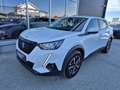 Peugeot 2008 1.2 PureTech 100 Active Pack (EURO 6d) Weiß - thumbnail 1