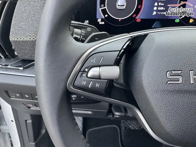 Skoda Kodiaq Selection 2.0 TSI 4x4 Anhängerkupplung ACC 3ZKl... Ansicht 9