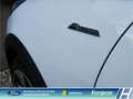 Ford Fiesta Active 1.0 EcoBoost M-Hybrid LED Klimaaut. DAB 2.H Weiß - thumbnail 31
