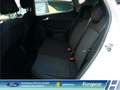 Ford Fiesta Active 1.0 EcoBoost M-Hybrid LED Klimaaut. DAB 2.H Weiß - thumbnail 11