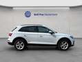 Audi Q5 40 TDI quattro S tronic AHK Paket Business Weiß - thumbnail 6