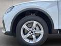 Audi Q5 40 TDI quattro S tronic AHK Paket Business Weiß - thumbnail 27