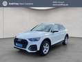 Audi Q5 40 TDI quattro S tronic AHK Paket Business Weiß - thumbnail 1