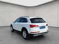Audi Q5 40 TDI quattro S tronic AHK Paket Business Weiß - thumbnail 3