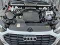 Audi Q5 40 TDI quattro S tronic AHK Paket Business Weiß - thumbnail 21