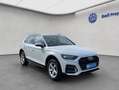 Audi Q5 40 TDI quattro S tronic AHK Paket Business Weiß - thumbnail 8
