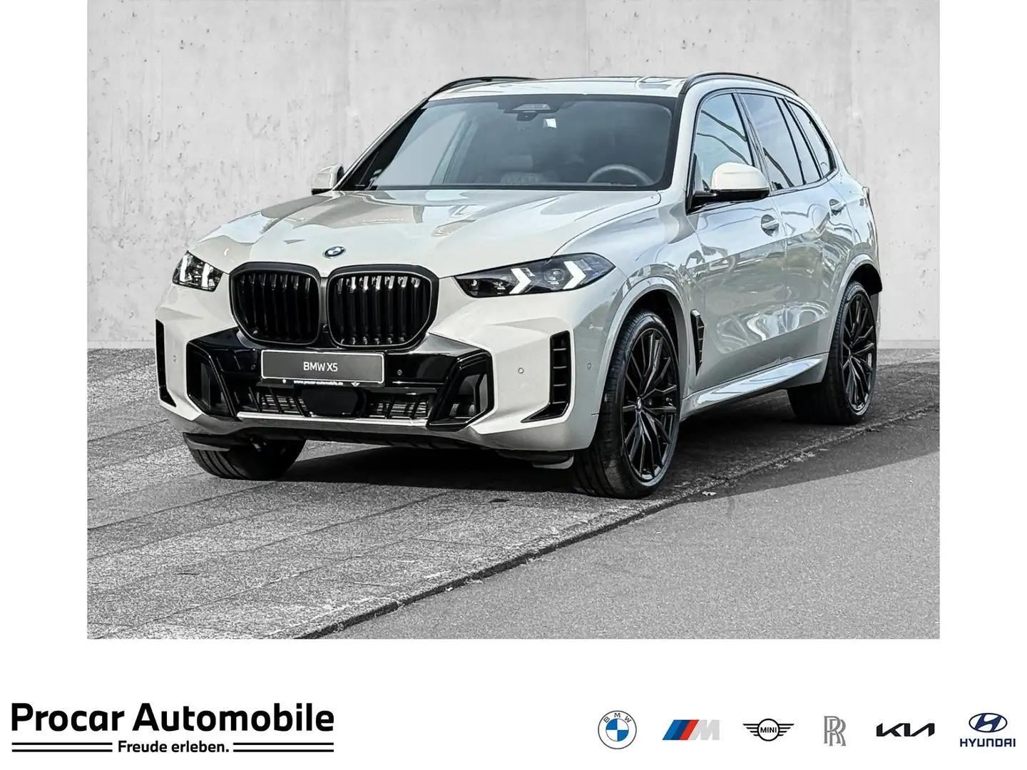 BMW X5 xDrive40d M Sportpaket * Bowers & Wilkins Diamond Grau - 1