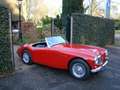 Austin-Healey 100 100/6 BN6 117PK Tweezitter Rot - thumbnail 16