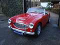Austin-Healey 100 100/6 BN6 117PK Tweezitter Rot - thumbnail 17
