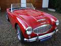 Austin-Healey 100 100/6 BN6 117PK Tweezitter Rot - thumbnail 7