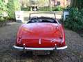 Austin-Healey 100 100/6 BN6 117PK Tweezitter Rot - thumbnail 3