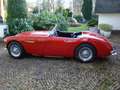 Austin-Healey 100 100/6 BN6 117PK Tweezitter Rot - thumbnail 1